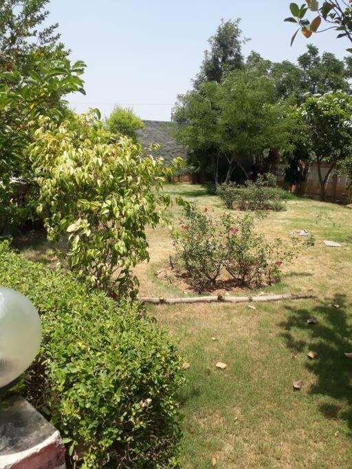 Achal Farm जंगल में मंगल Villa Gurgaon Bagian luar foto