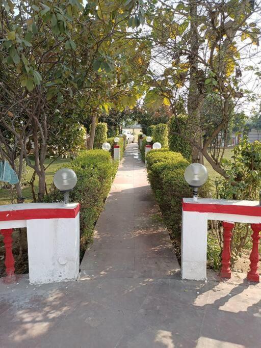 Achal Farm जंगल में मंगल Villa Gurgaon Bagian luar foto