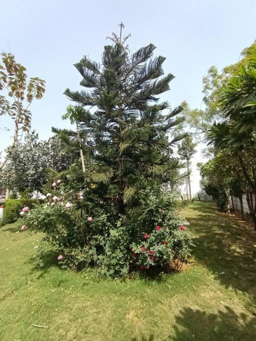 Achal Farm जंगल में मंगल Villa Gurgaon Bagian luar foto