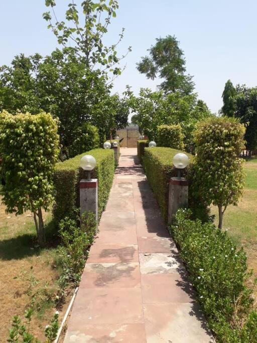 Achal Farm जंगल में मंगल Villa Gurgaon Bagian luar foto