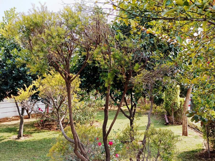 Achal Farm जंगल में मंगल Villa Gurgaon Bagian luar foto